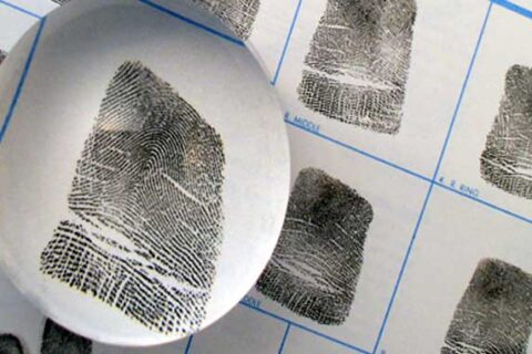 The Complete Guide to Fingerprinting Services